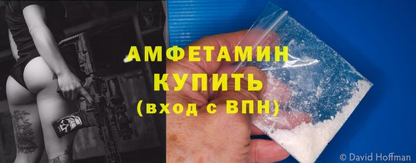 молекула духа Осинники