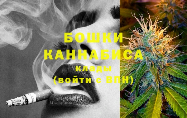 молекула духа Осинники