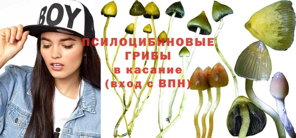 apvp Пестово