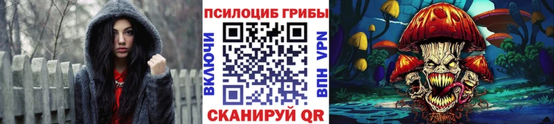 Купить где  Нижневартовск  Галлюциногенные грибы Cubensis 