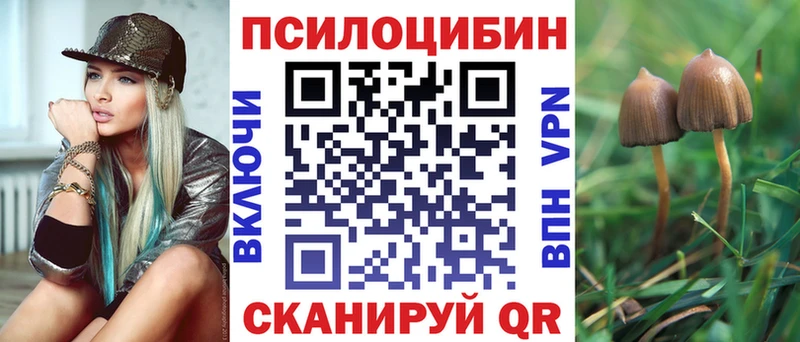 Псилоцибиновые грибы Psilocybine cubensis Нижневартовск